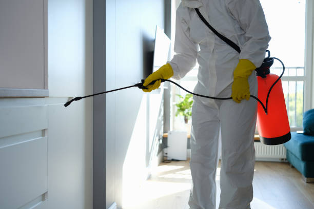 Best Local Mold Removal Service  in Liberty, UT