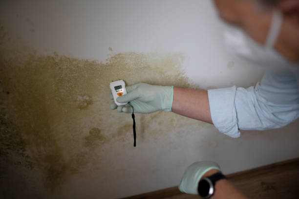 Liberty, UT Mold Removal Company