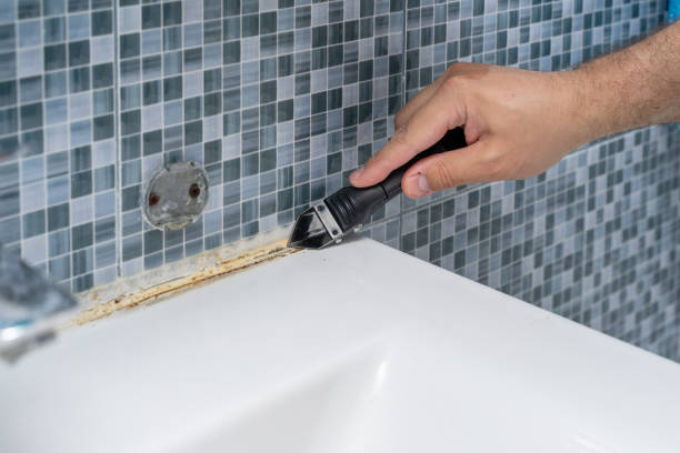 Best Mold Testing  in Liberty, UT
