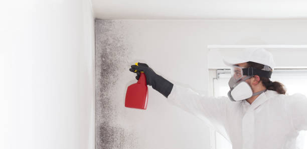 Best Emergency Mold Removal  in Liberty, UT