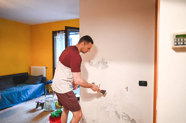 Best Emergency Mold Removal  in Liberty, UT