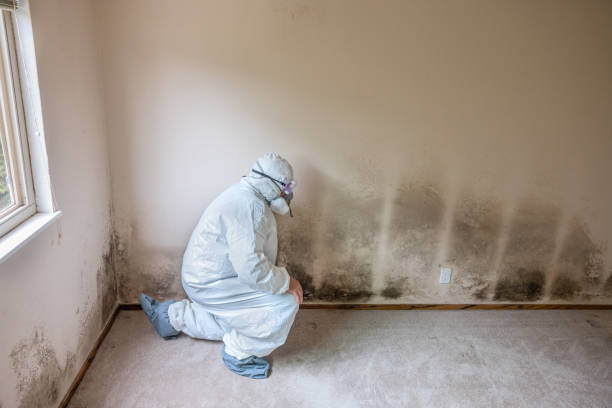 Best Mold Testing  in Liberty, UT