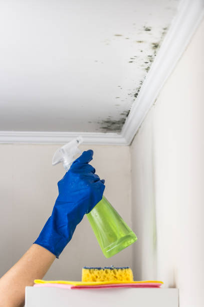 Best Water Damage Restoration  in Liberty, UT